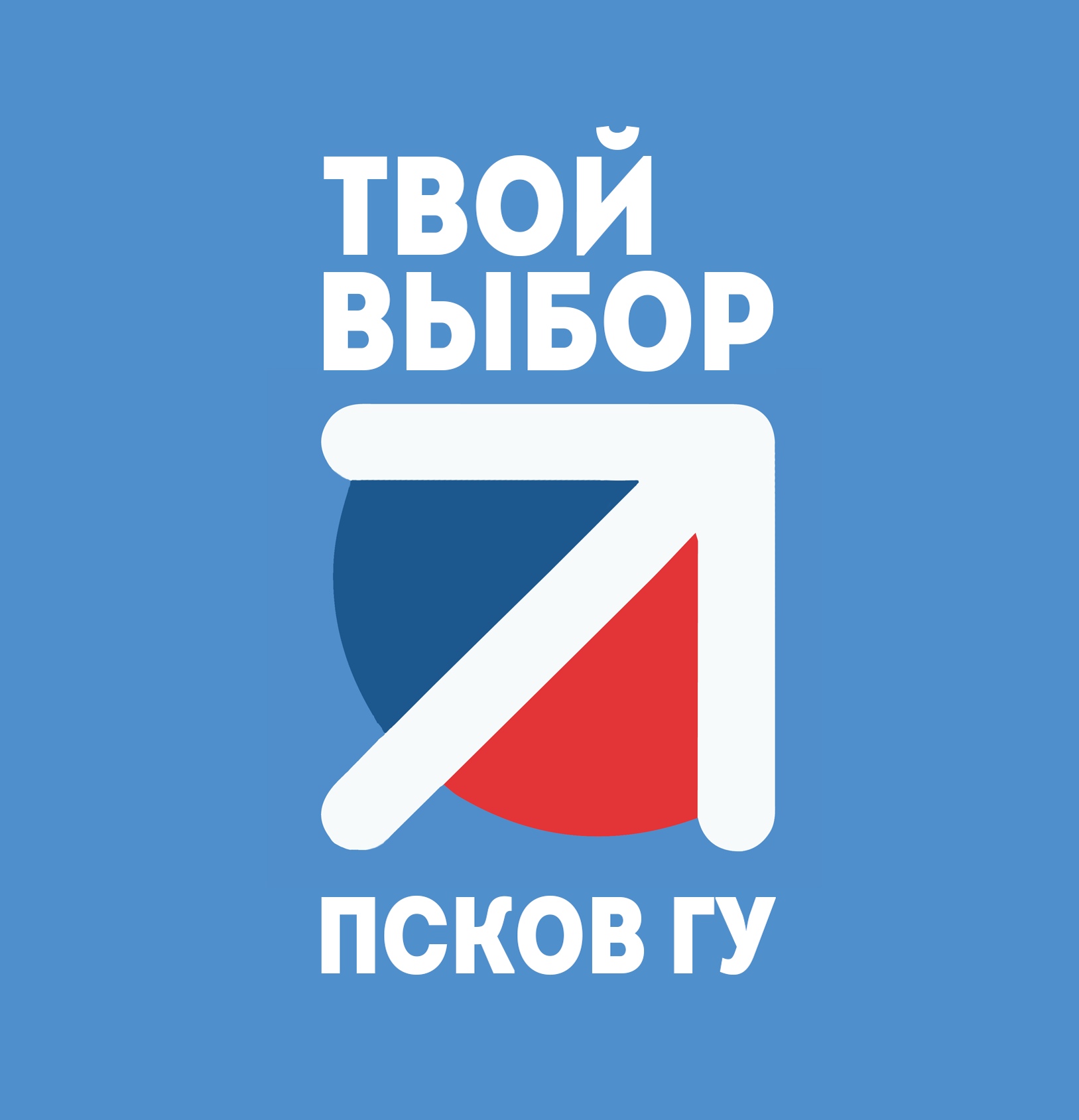 Всероссийская кампания по проведению всеобщих выборов председателей советов обучающихся